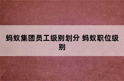 蚂蚁集团员工级别划分 蚂蚁职位级别